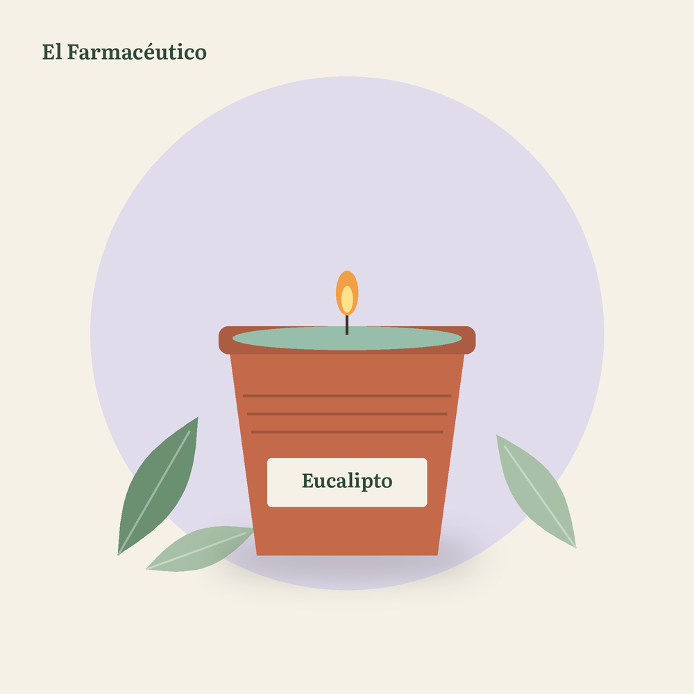 Vela en maceta de barro aroma eucalipto 250 g